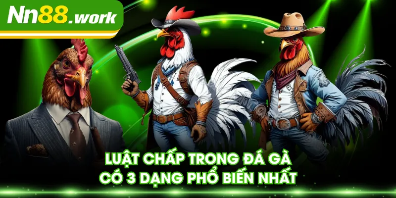 Luật chấp trong đá gà có 3 dạng phổ biến nhất