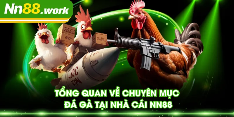 Tổng quan về chuyên mục đá gà tại nhà cái NN88